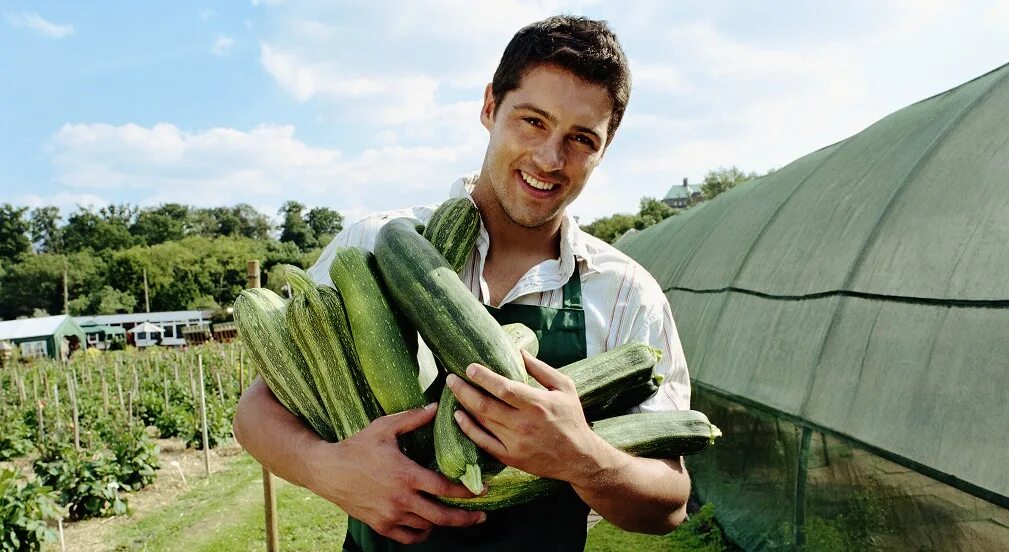 американский фермер. некоторые фермеры. деревенская семья. успешный фермер. мужчина на ферме.