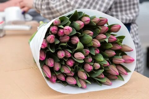 Срез тюльпанов