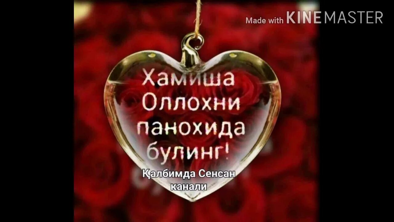Сог булинг. Сог саломат булинг. Хайрли кун. Саломат булинг. Оллох панохида асрасин.
