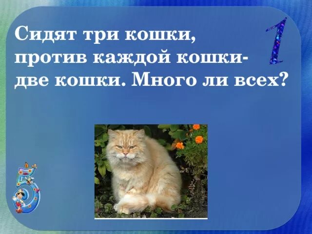 Напротив каждой кошки по три кошки. Сидят три кошки против каждой. Сидят три кошки против каждой кошки две кошки много ли всех. Сидят две кошки против каждой кошки две. Загадка сидят три кошки против каждой.