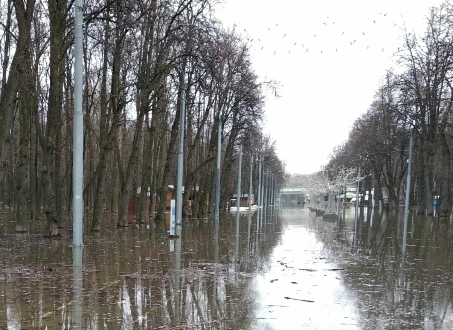 Ока река уровень воды Рязань. Паводок. Ока наводнение. Половодье Рязань.