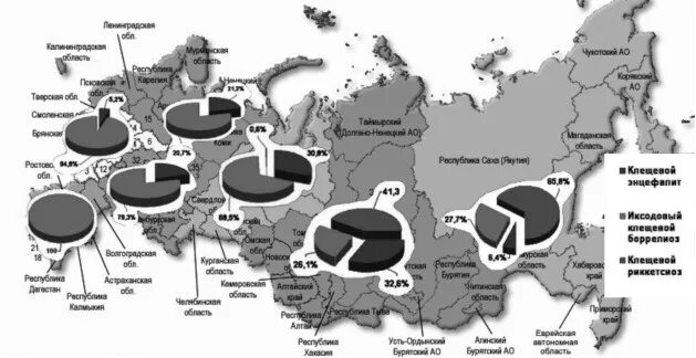 Территория распространения заболеваний называется. Очаги распространения природно очаговых заболеваний на карте. Заболеваемость энцефалитом в России. Очаги чумы на территории РФ. Очаги клещевого энцефалита в России.