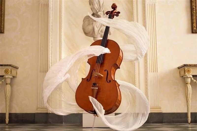 Международный день виолончели (International Cello Day). Международный день виолончели 29 декабря. Виолончель музыкальный инструмент. Скрипка в интерьере.