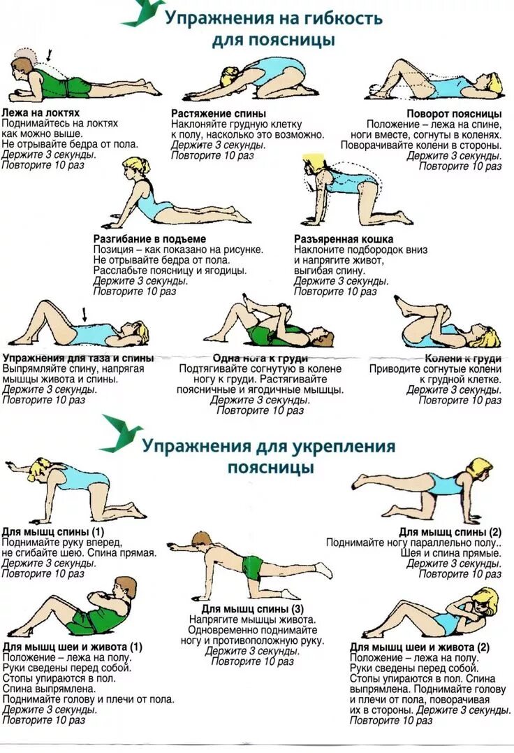 Лфк упражнения для укрепления мышц позвоночника. Занятия для мышц поясницы упражнения. Гимнастика при смещении позвонка в пояснично-крестцовом отделе. Упражнения для мышц спины. Снятие боли в поясничном отделе.