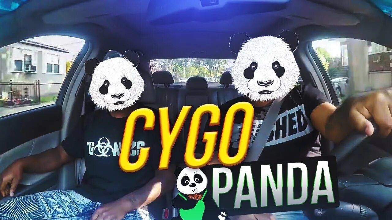 Сygo Panda. Панда и гепард. Панда от гепарда. Cugo Panda e.