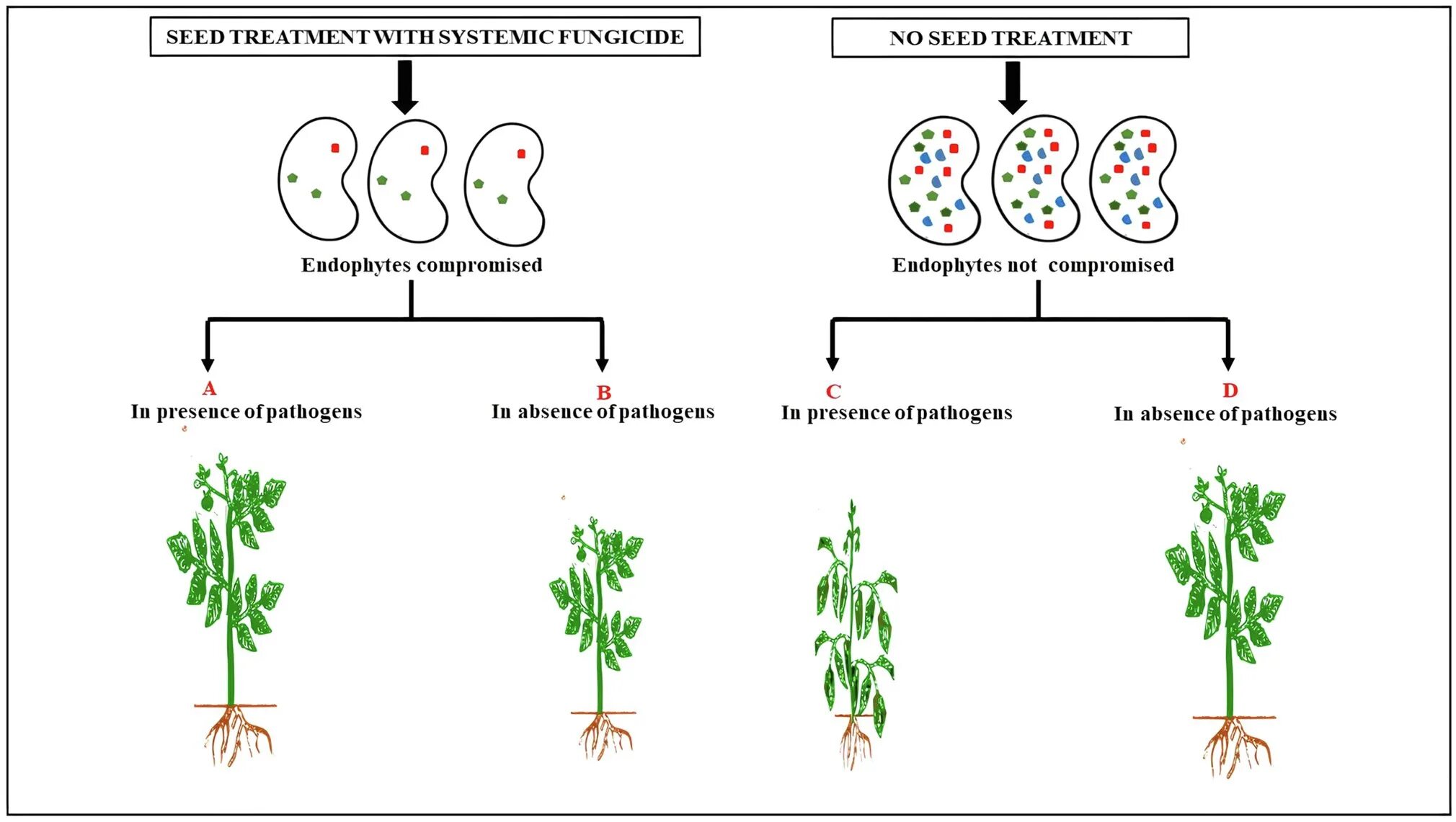 Plant seed areas. Протравливание семян. Тритмент. Seed treatment. Treat me with your seed.