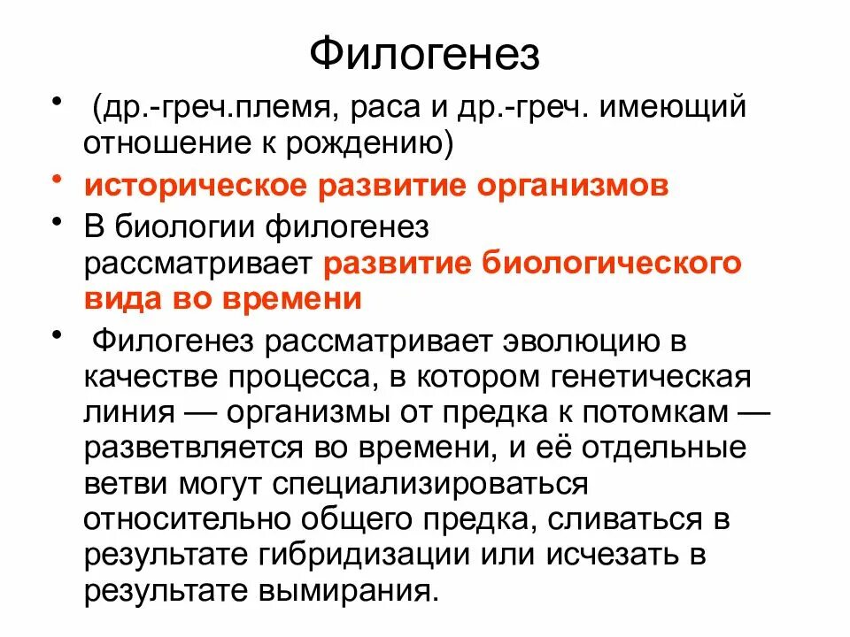 Филогенез историческое развитие. Онтогенез и филогенез. Филогенез это в психологии. Филогенез это процесс.