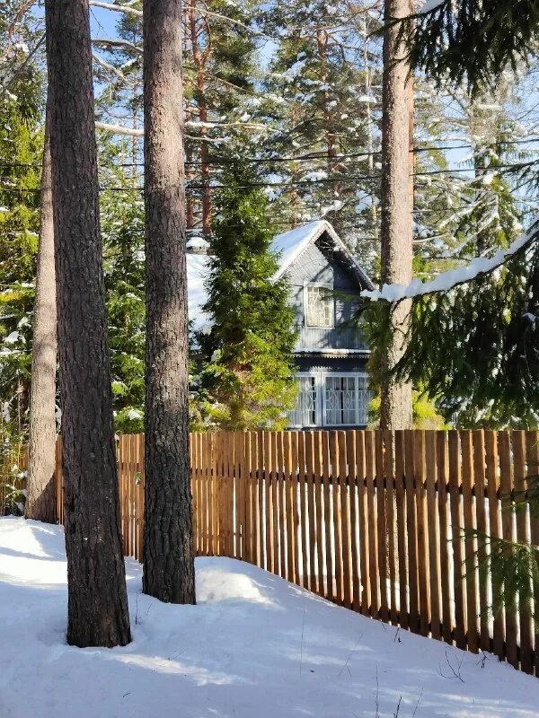 погода в орехово-зуево на завтра. погода в орехово на месяц. погода на 2 месяца. прогноз погоды в орехово-зуево на сегодня. погода в орехово на месяц.