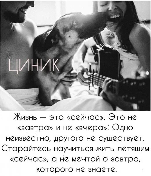 Циник юмор. Циник юмор. Циник прикол. Циник юмор. Циник юмор.