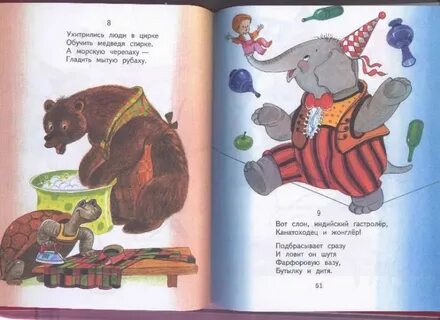 Медведь черепаха