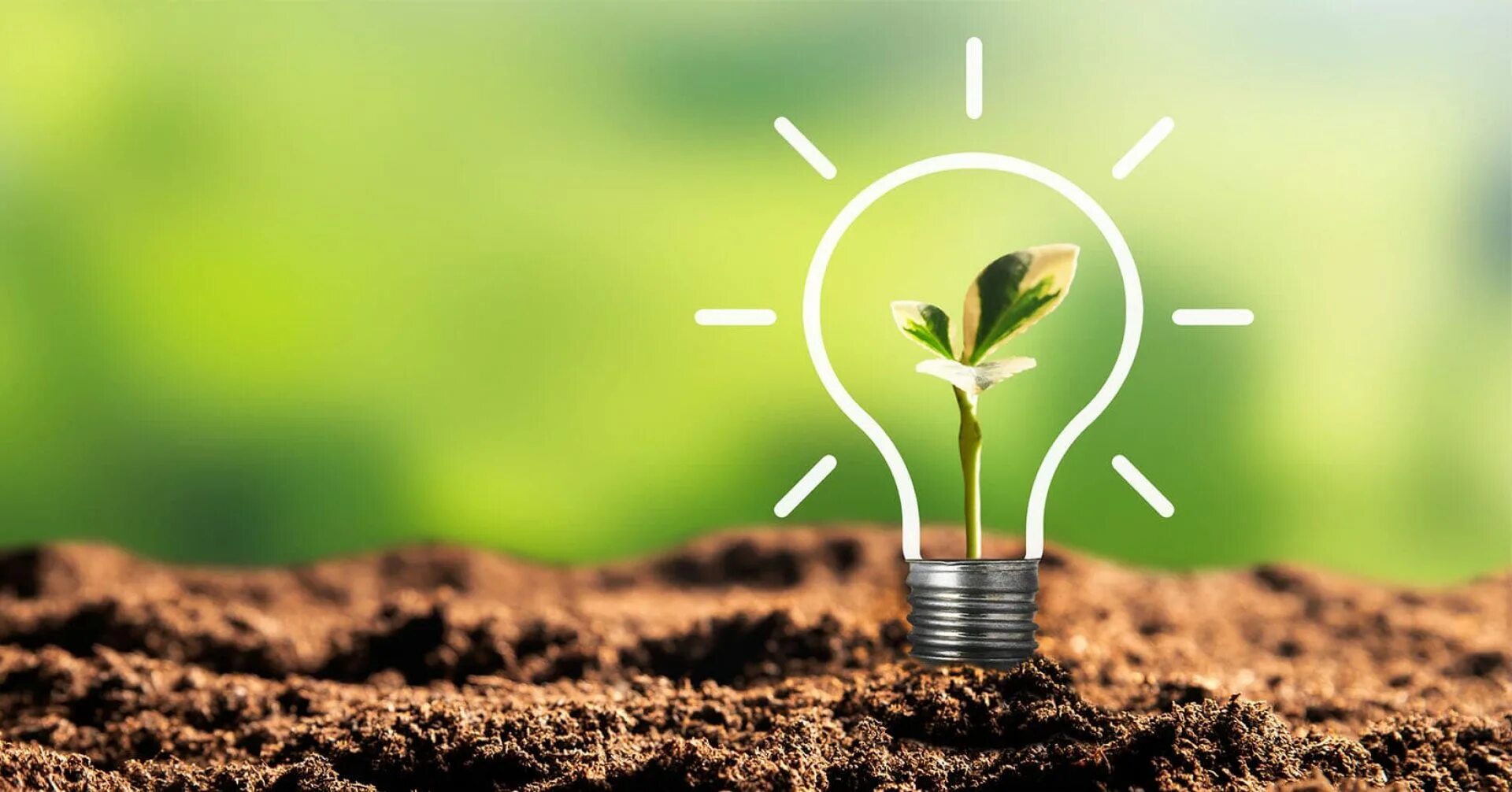 Развивать природу. Развитие природы. Устойчивое развитие природа. Sustainability. Дерево устойчивое развитие.