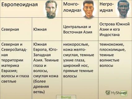 Описание европеоидной расы