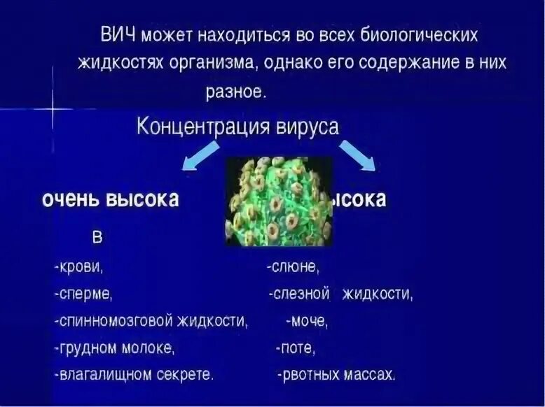 Вич концентрация. Максимальная концентрация вируса ВИЧ определяется в. Концентрация вируса ВИЧ В биологических жидкостях. Наибольшая концентрация вируса ВИЧ находится в. Наибольшая концентрация вирусов иммунодефицита человека.