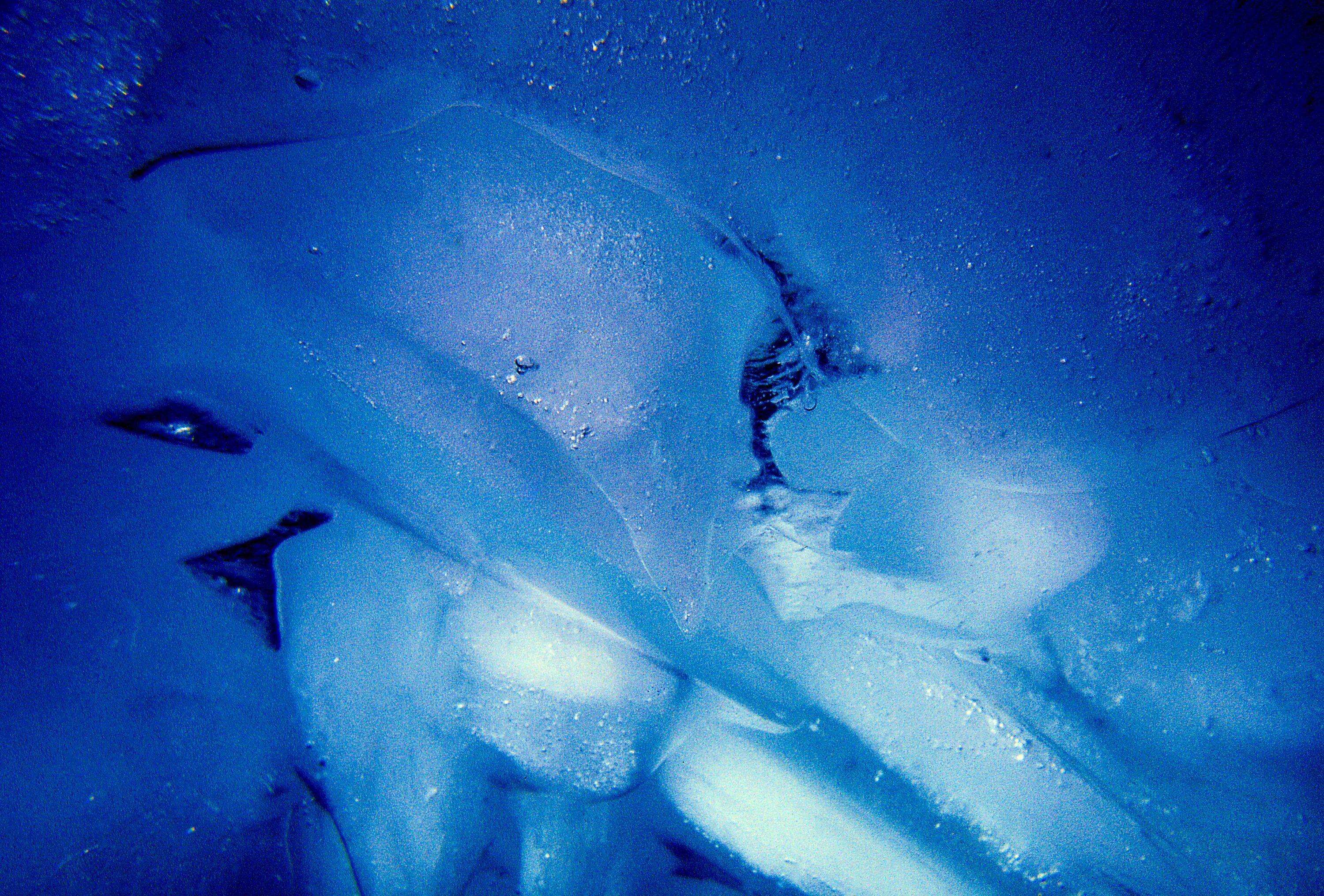 Лед снизу. Синий лед. Девушка подо льдом. Акула подо льдом.