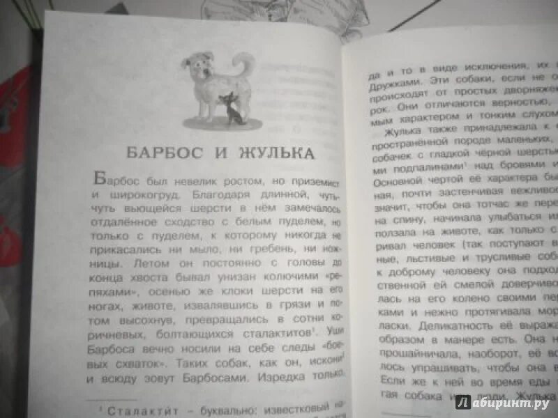 Текст рассказа барбос и жулька. Книга белый пудель (Куприн а.). План по рассказу Барбос и Жулька. Барбос Куприн. План рассказа Барбос и Жулька.