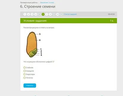 Ответы по фото биология