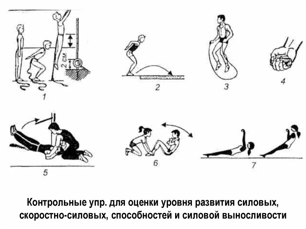 Комплекс упражнений для развития скоростно-силовых способностей. Комплекс упражнений на скоростно силовые качества. Упражнения для развития скоростно-силовых качеств в гимнастике. Ударный метод тренировки силовых способностей. Тест силовых упражнений