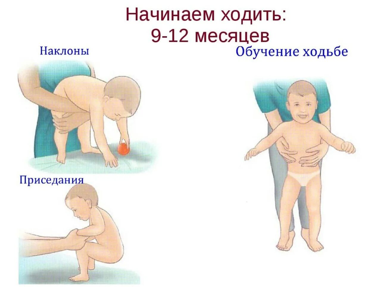 Массаж при дисплазии тазобедренных суставов у детей 1 года. Упражнения при дисплазии тазобедренных суставов у детей 3-6 месяцев. Упражнения для детей 9 месяцев. Массаж для детей до года. Год начала хождения