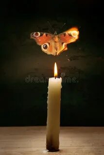 Мотылек догорал на свечке