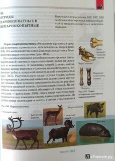 Биология 7 класс викторов