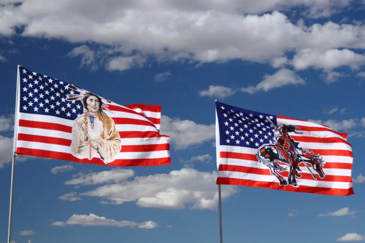Разнообразия сша. Флаг США. Штат Аризона флаг. Аризона флаг Америки. Американец с флагом.