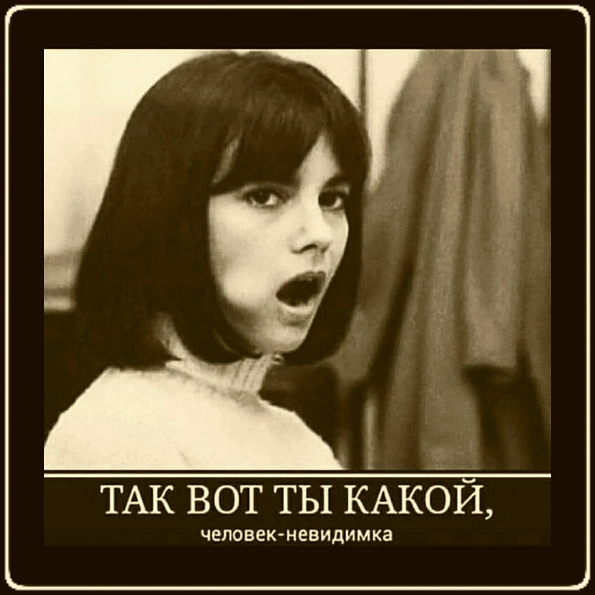 Вот это да прикол. Злые коты с надписями. Плачущиё кот. Вот кот. Кот в шоке.