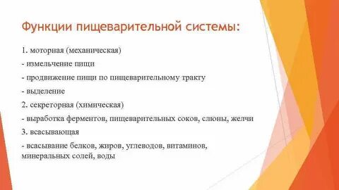Что выполняет у простейших функцию пищеварения