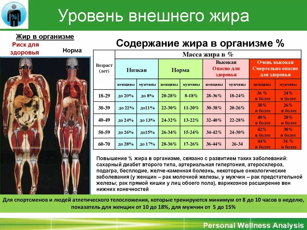 Таблица костной массы в организме. Процент костной массы в организме. % Жира в организме. Норма процентного содержания жира в организме. Норма жира в организме мужчины