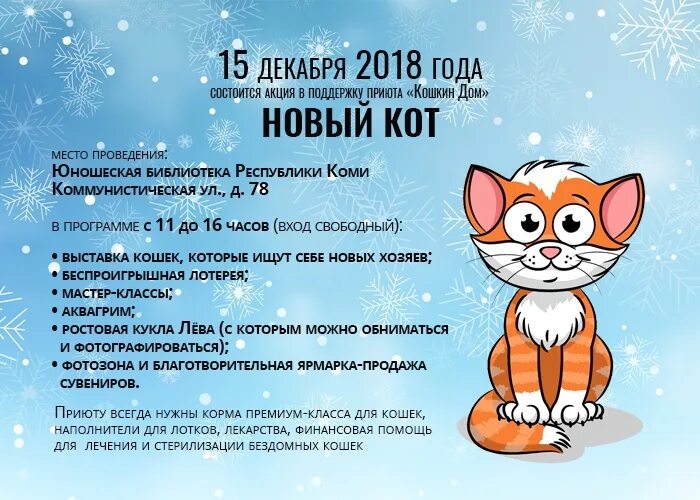 Приют кошкин дом адрес. Кошкин дом тольятти. Омский приют для кошек. Сбор на корм для бездомных животных. Приют кошкин дом ярославль.