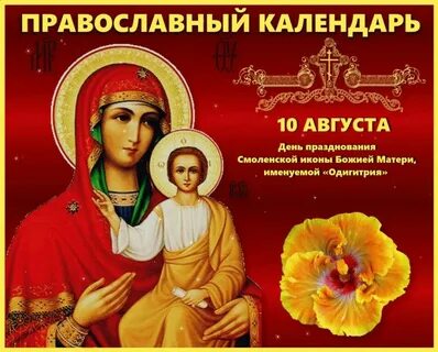 428 августа