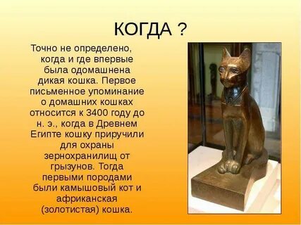 Изложение кошка была приручена в древнем египте