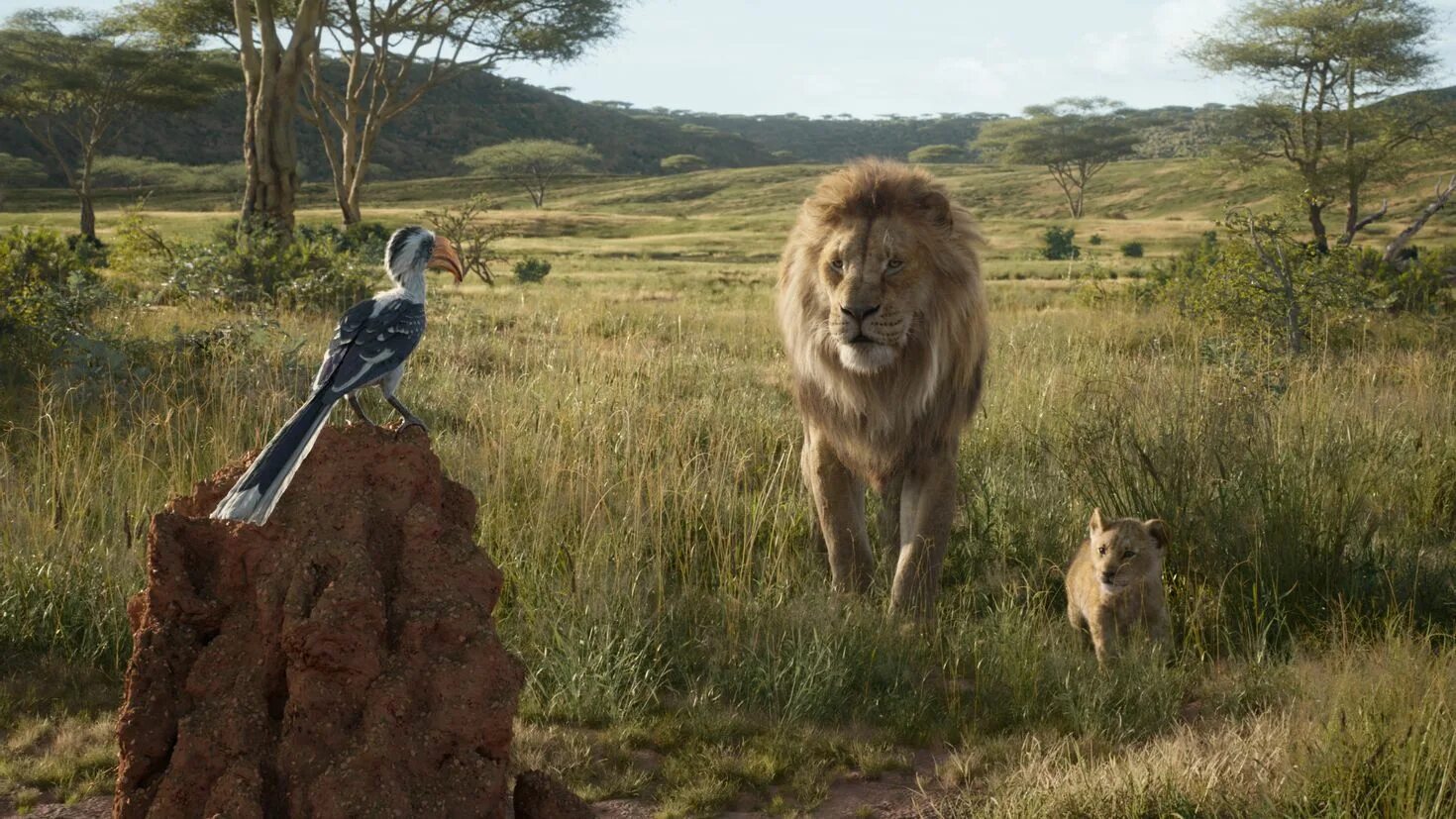 Король лев the lion king 2019. Король лев фильм сараби. Муфаса фильм 2019. Лев 2019. Лев 2019.