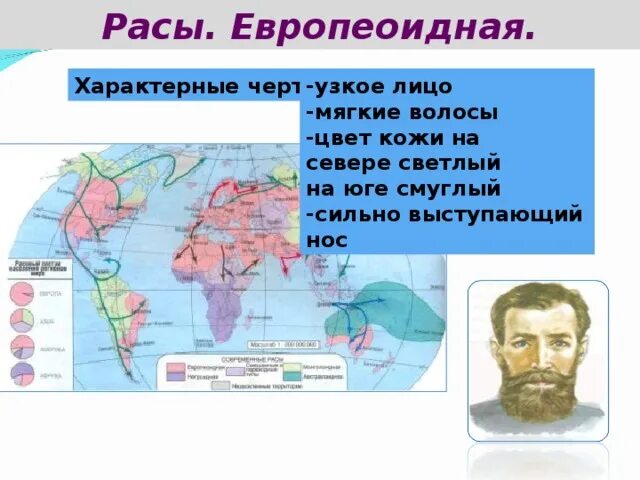 Выступающий нос характерны для какой расы. Характерные черты европеоидная раса. Европиоидныераса место проживания. Население европеоидная раса. Европеоидная раса расселение на карте.