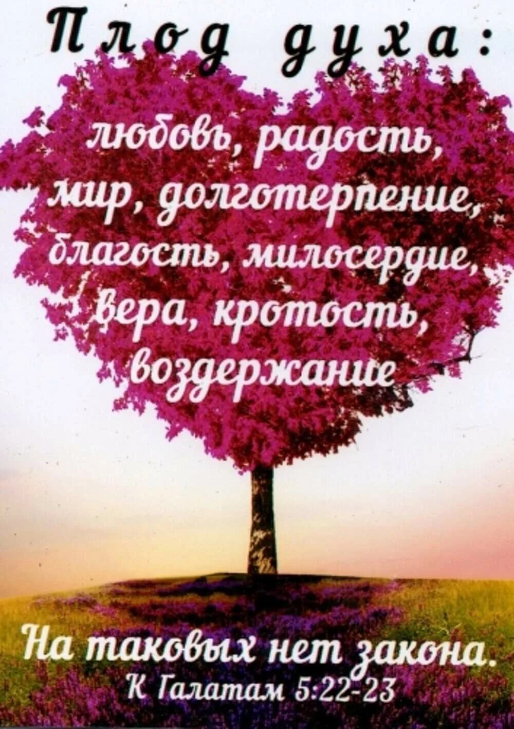 Благословение цитаты из библии. Библейские стихи. стихи из библии. открытки со стихами из библии. христианские открытки с надписями.