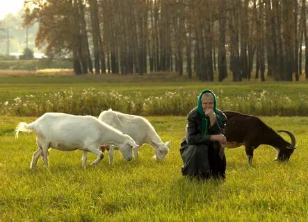Пас в женском