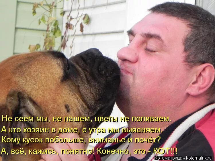 Мы не пашем не сеем не строим. Кто хозяин. мы не сеем и не пашем а валяем.