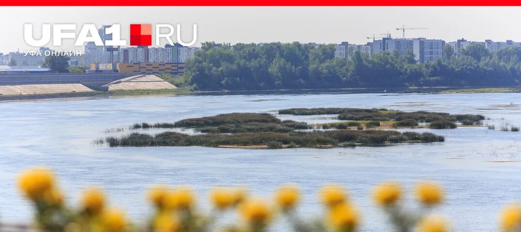 Набережная реки белой в уфе. Уфимка река. Уфимка река в уфе. Река белая около уфы. Вид на реку белая уфа.