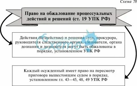 Порядок обжалования решения следователя