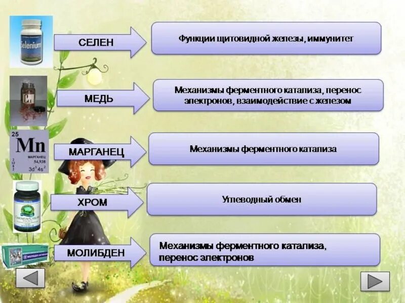 Селен влияние. Род микроэлементов в организме. Роль микроэлементов в жизни человека. Роль макро и микроэлементов в организме. Биологическая роль микроэлементов.