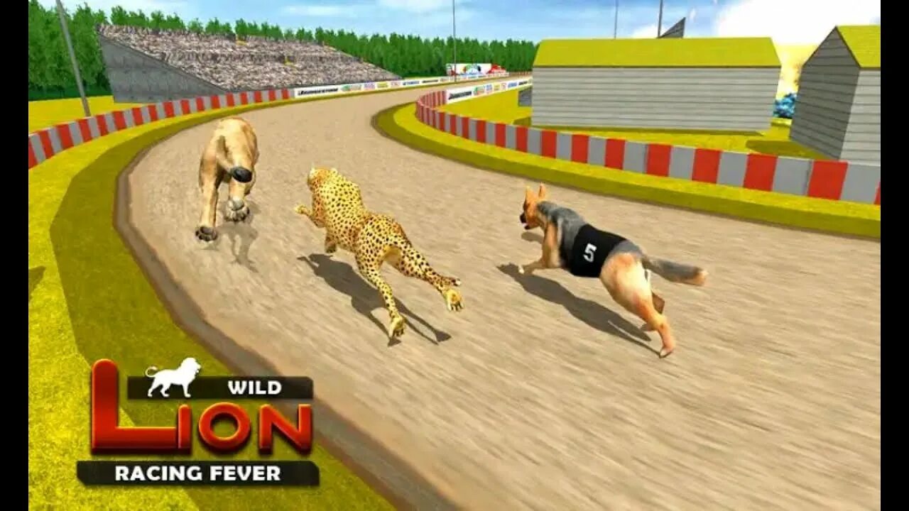 Animal race. Дикие гонки. Энимал рейсинг. Wild animal Racing. Wild Wild Racing.