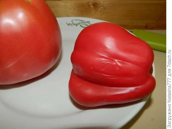 томат сердце любы отзывы