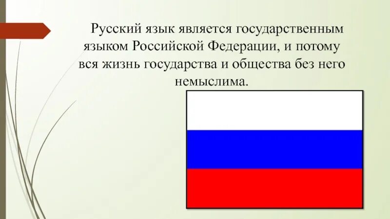 Русский язык государственный. Государственный язык России. Русский язык язык государственный язык. Государственным языком Российской Федерации является.