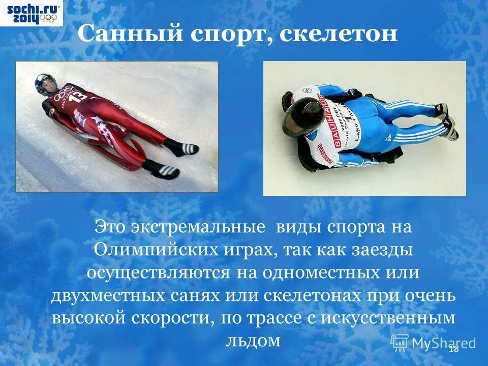 вид спорта на санях. санный спорт. санный спорт скорость. санный спорт описание. санный спорт это вид спорта.