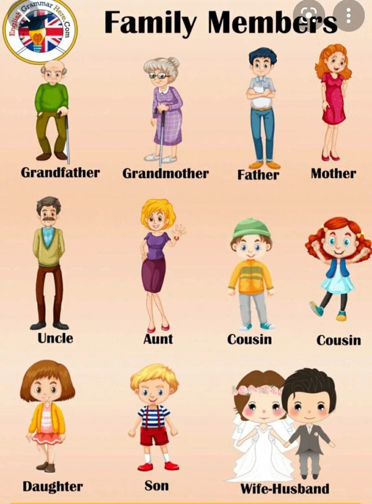 A member of the Family. Семья на английском для детей. Family Vocabulary английский. Семья по англ для дошкольников. Тема семья на английском 5 класс