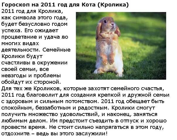 Что означает 2011 год