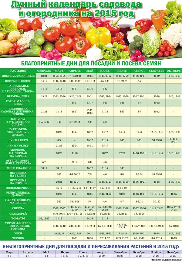 Благоприятные дни для посадки редиски. Календарь садо огоодника. Календарь садовода и огородника. Лунный календарь. Луныцкаьендарь садовода..