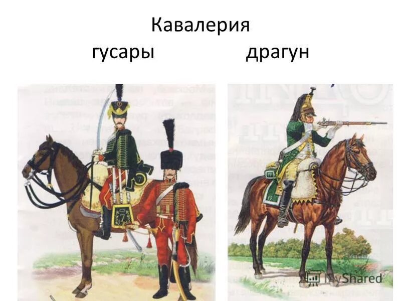Французская конница 1812. Драгуны наполеона 1812. Драгуны гусары. Кирасиры драгуны уланы гусары род войск. Уланы драгуны гусары разница.