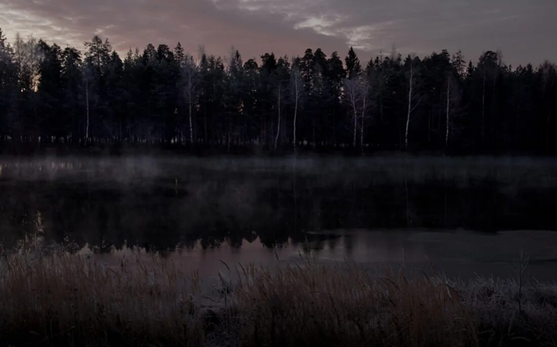 Омут ночи. Река ночью. Омут ночи. Ива ночью. Мистическое озеро.