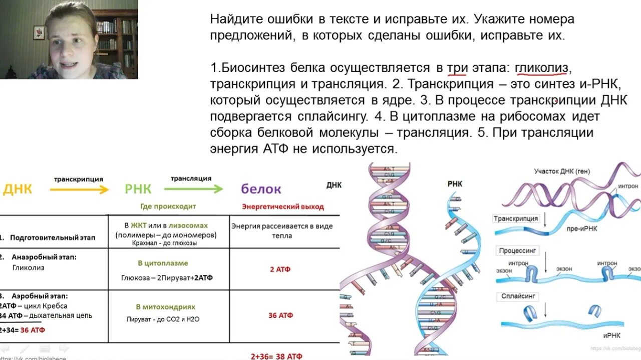 Егэ биология задачи на биосинтез. Биосинтез белка ЕГЭ биология таблица. Задачи на Синтез белка ЕГЭ биология. Задания на Синтез белка ЕГЭ биология. Синтез белка таблица ЕГЭ.