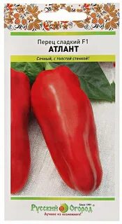 Перец атлант